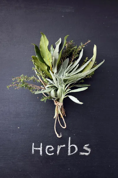 Herbs — Stock Photo, Image