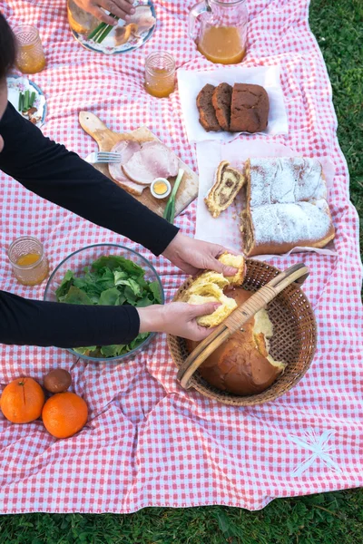 Op de picknick — Stockfoto