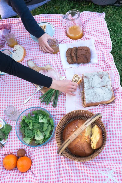 Beim Picknick — Stockfoto