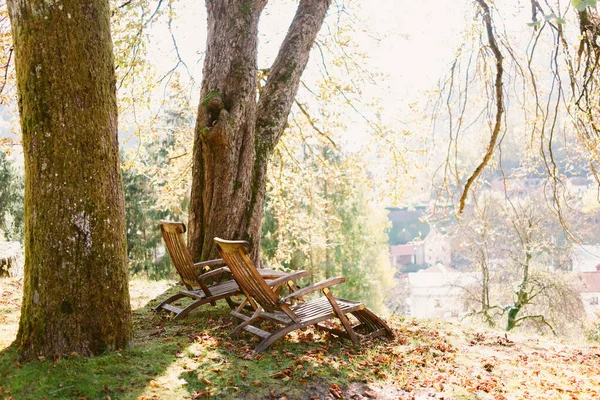 Wooden Chairs Autumn Park Stock Picture