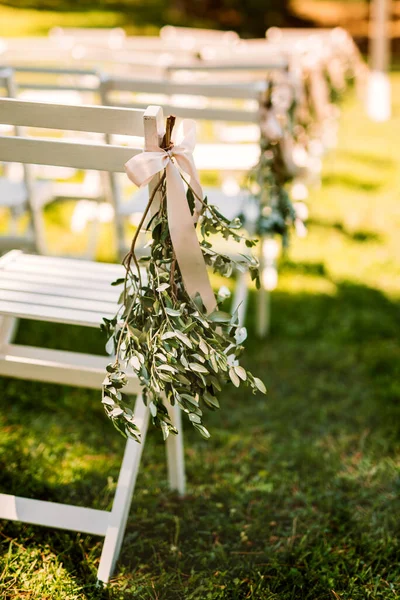 Olive Tree Decoration Wedding Guest Chair — Stock fotografie