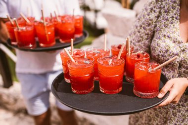 Delicious red summer drink with ice
