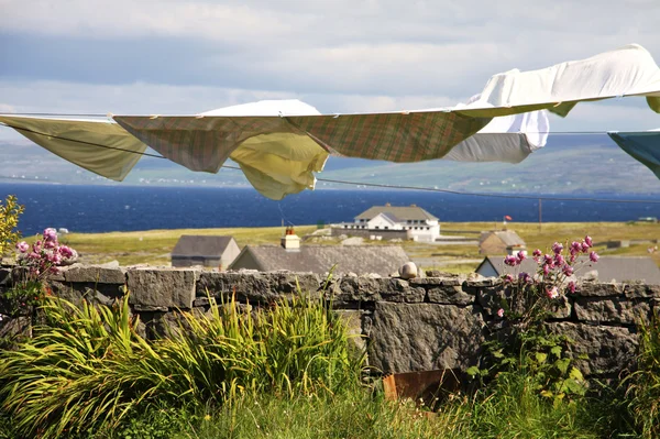 Lavanderia appesa ad asciugare nelle isole Aran, Irlanda — Foto Stock