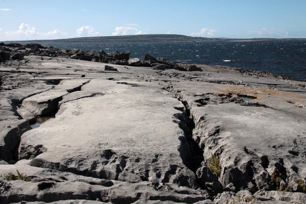 Inisheer, aran Islands kayalıklarla — Stok fotoğraf