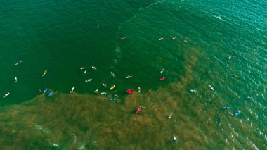 Aerial view of surfers waiting for a wave in the ocean, active recreation, tropical coast.