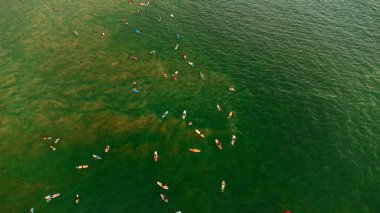 Aerial view of surfers waiting for a wave in the ocean, active recreation, tropical coast.