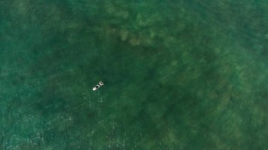 Aerial view of surfers waiting for a wave in the ocean, active recreation, tropical coast.