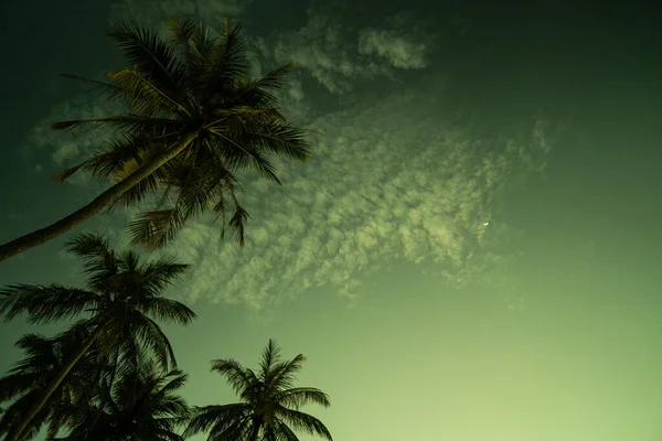 Belle Plage Tropicale Coucher Soleil Avec Des Palmiers Par Une — Photo