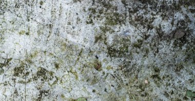 abstract background of a wall texture