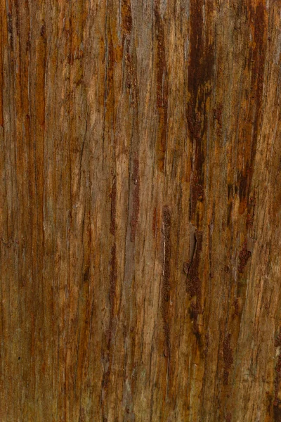 old wooden brown background with natural pattern and crack texture