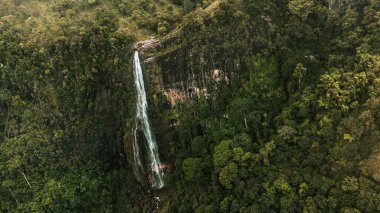 Dağlarda şelale, Sri Lanka 'da Ella.