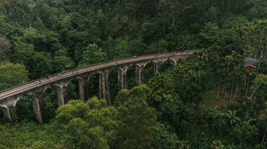 9 Arch Railway Bridge, Ella in Sri Lanka, a historic building set against a green tropical jungle background.