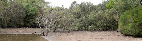 Dit Een Billabong Kangaroo Island — Stockfoto