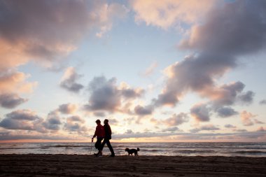 köpek sahilde yürümek çift