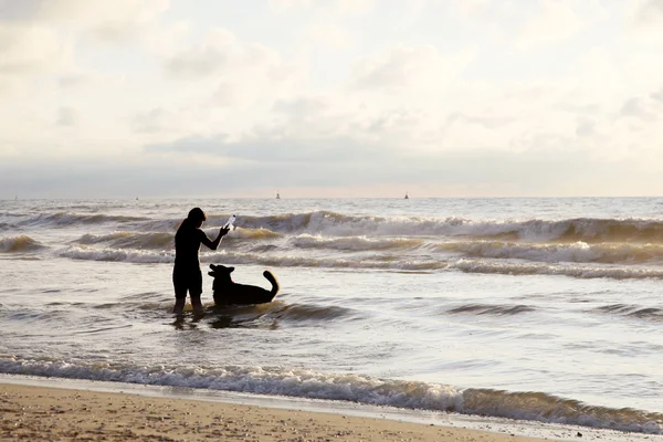 Köpek ile plajda oynayan kız — Stok fotoğraf