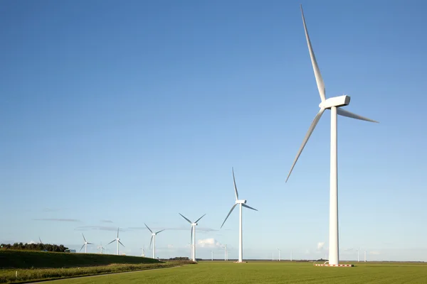 Windturbines in een rij — Stockfoto