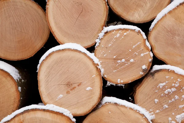 Closeup of pine logs — Stock Photo, Image