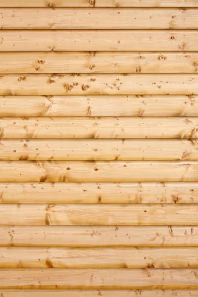 Instappen van naaldhout — Stockfoto