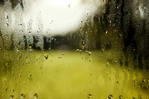 Szyby krople deszczu i zielonym tle — Zdjęcie stockowe