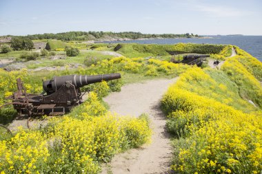 suomenlinna ada kanunları ve kolza takviyesi üzerinde