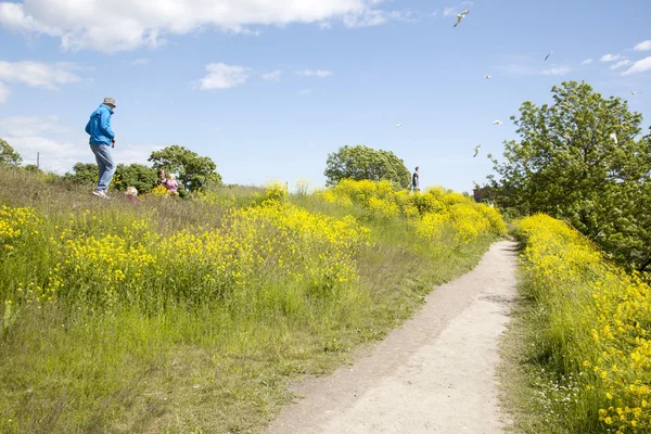 Tourists on the fortification island Suomenlinna — Stock Photo, Image