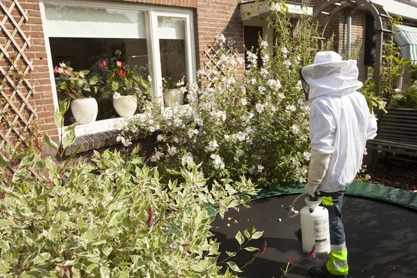 Controlador de plagas en el jardín — Foto de Stock