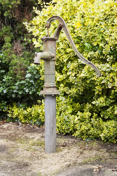 Alte gusseiserne Wasserpumpe im Garten — Stockfoto
