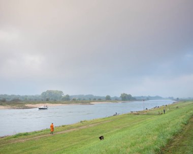 İnsanlar köpeklerini ijssel nehrinin kıyısında deventer içinde gezdirirler.