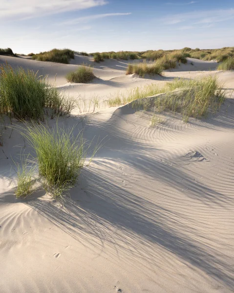 Ilhas wadden têm muitas dunas de areia desertas uinder céu azul de verão nas terras baixas — Fotografia de Stock