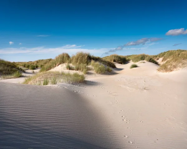 Islas anchas tienen muchas dunas de arena desiertas uinder cielo azul del verano en los Países Bajos —  Fotos de Stock