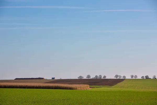 Paisagem agrícola entre brussels e namur sob céu azul em belgium — Fotografia de Stock