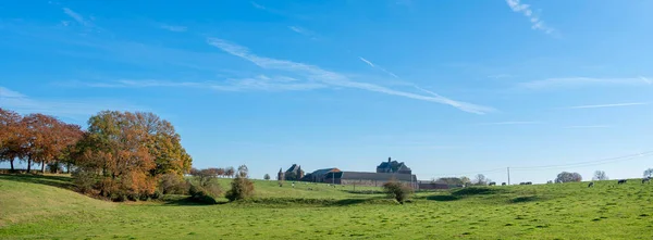 Mucche in prato erboso verde vicino all'abbazia di argenton a Lonzee in ardennes francese. vicino namur — Foto Stock