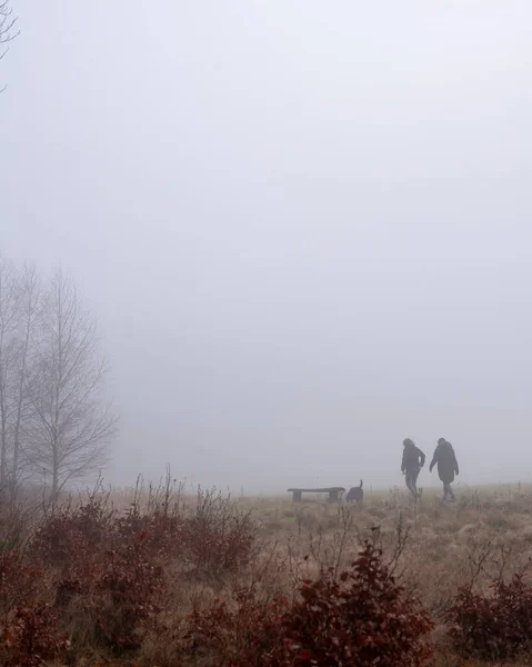 Duas pessoas passeiam cão no campo nebuloso nas terras baixas — Fotografia de Stock