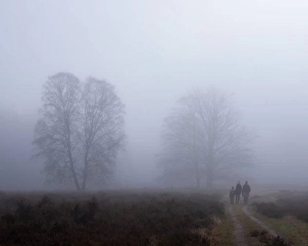 Família com crianças caminha na floresta nebulosa de inverno perto de utrecht no. Países Baixos — Fotografia de Stock