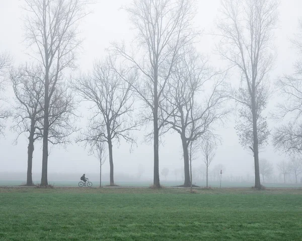 Silhueta de bicicleta solitária e árvores de inverno nuas ao longo da estrada rural nas terras baixas — Fotografia de Stock