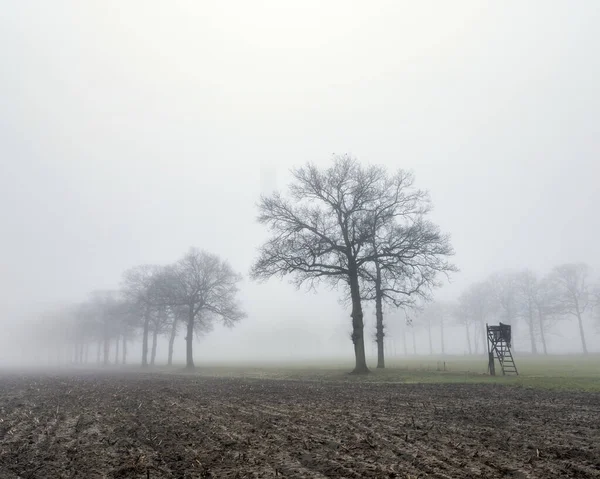 Assento alto para caçar no campo de inverno verde perto de utrecht nas terras baixas no dia de inverno nebuloso — Fotografia de Stock