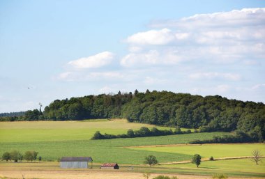 Ahırlar yeşil yaz manzaralı Namur ilinde ardennes ormanlık arka planda mavi gökyüzü altında