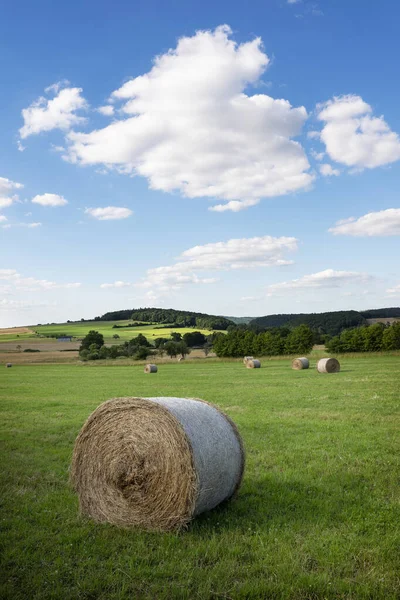 Paesaggio Campagna Della Regione Belga Ardennes Vicino Han Sur Lesse — Foto Stock