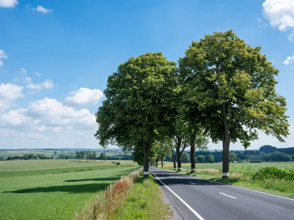 Road White Lines Trees Countryside Northern Luxemburg Summer Blue Sky — 图库照片
