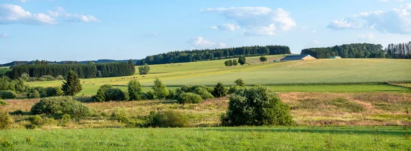 Countryside Landscape Cows Southern Part Hautes Fagnes Vielsalm Sankt Vith — Stock Fotó