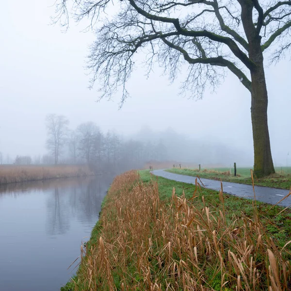 Valleikanaal Valley Canal Scherpenzeel Dutch Province Utrecht Misty Winter Day — Stock Photo, Image