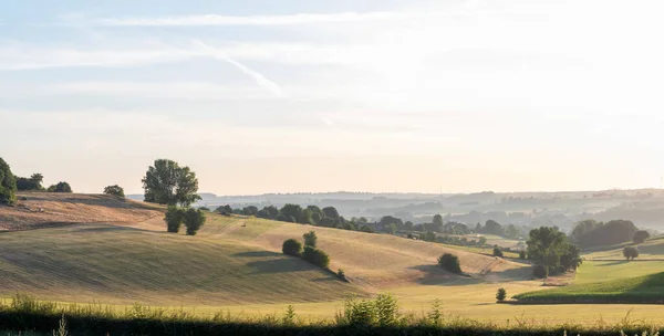 trees in hills of south limburg in the netherlands under blue summer morning sky in the netherlands