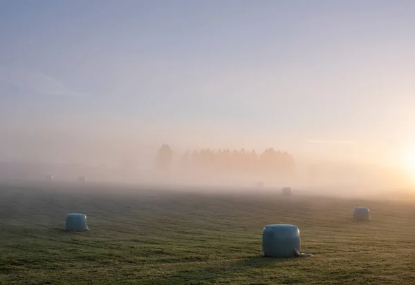Hay Bales Misty Early Morning Meadow Vielsalm Sankt Vith Belgian — Fotografia de Stock