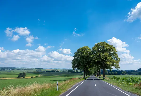 Road White Lines Trees Countryside Northern Luxemburg Summer Blue Sky — 图库照片