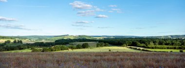 Mısır tarlaları ve Belçika 'nın Ardennes' inde, güneşli yaz akşamlarında mavi gökyüzü altında Han sur less ve Rochefort 'un yakınlarındaki manzara.