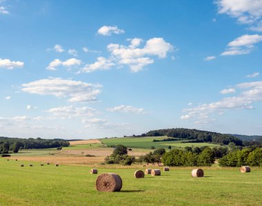 countryside landscape of belgian ardennes region near han sur lesse and rochefort on summer evening with hay bales under blue sky with forest hill in the background