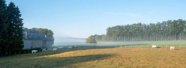 Nekler Eski Çiftlikler Sabahın Erken Saatlerinde Belçika Nın Güney Kesiminde — Stok fotoğraf