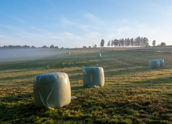 Hay Bales Misty Early Morning Meadow Vielsalm Sankt Vith Belgian — Foto Stock