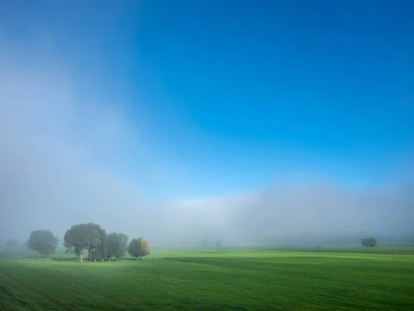 Paisagem Rural Com Árvores Prados Sob Céu Azul Névoa Manhã — Fotografia de Stock