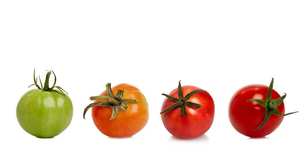 Kematangan Tomat Yang Berbeda Kolase Siap Terisolasi Latar Belakang Putih — Stok Foto